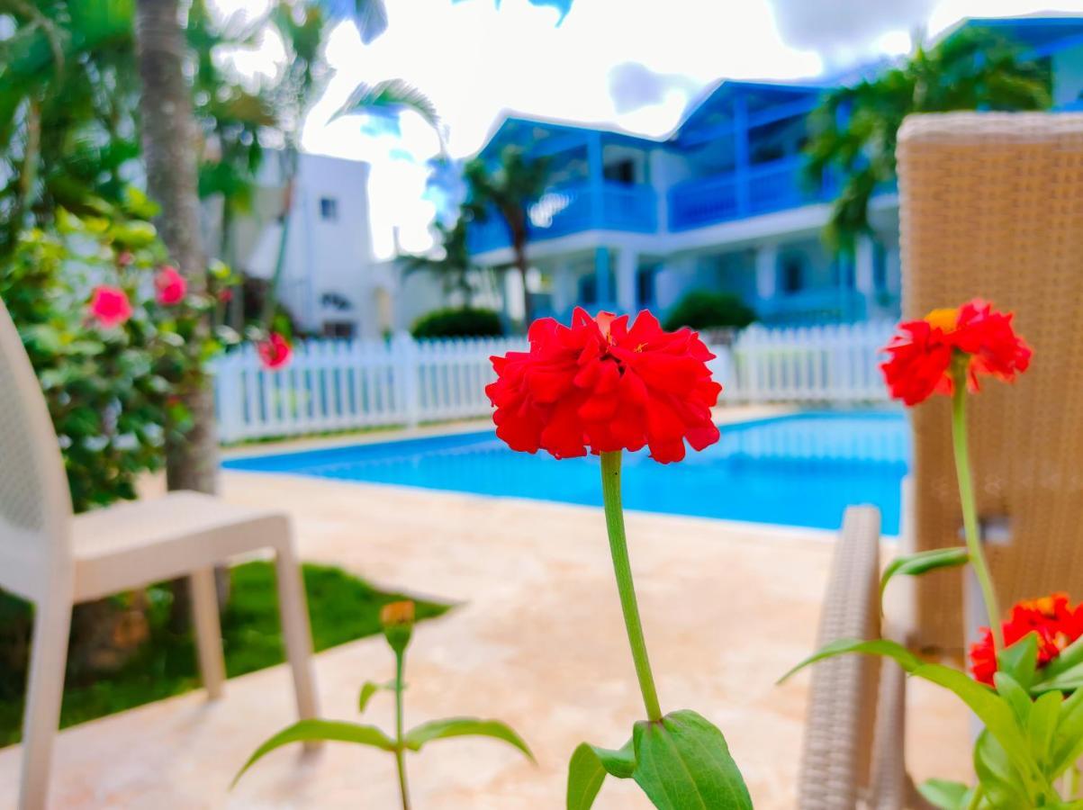 B&B Aparthotel La Isleta Las Galeras Bagian luar foto